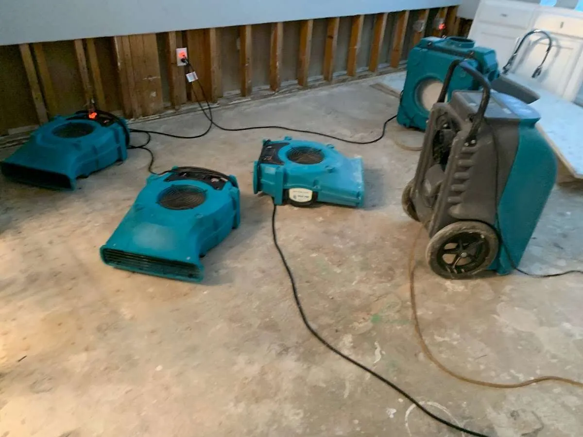 Mold Inspection & Testing in Heath, TX